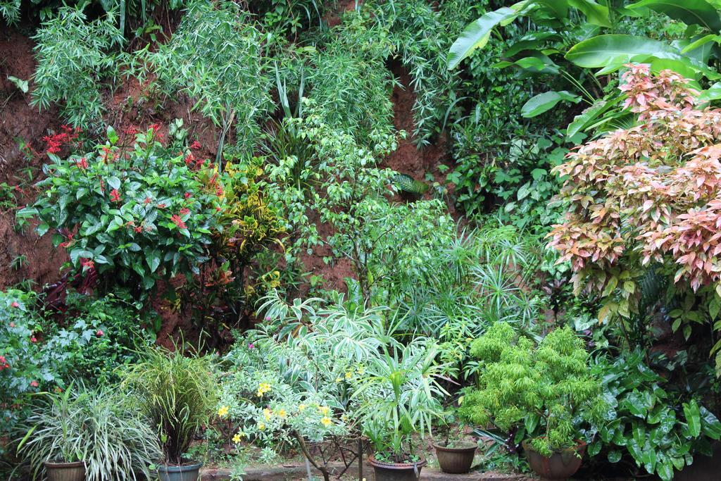 Anniewatte House Apartamento Kandy Exterior foto